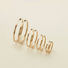 Load image into Gallery viewer, Live In Hoop Earrings