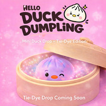 Load image into Gallery viewer, Hello Duck Dumpling  - Mystery Mini Tie-Dye Edition