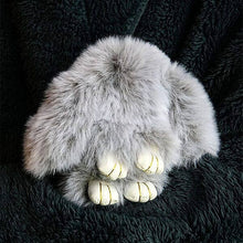 Load image into Gallery viewer, Bao Bunny Keychain Mystery Tin