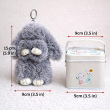 Load image into Gallery viewer, Bao Bunny Keychain Mystery Tin