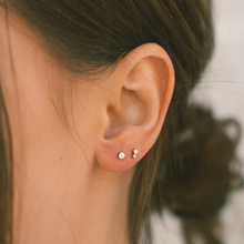 Load image into Gallery viewer, Luxe Double Stone Stud Earrings