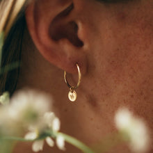 Load image into Gallery viewer, Evie Hoop Earrings